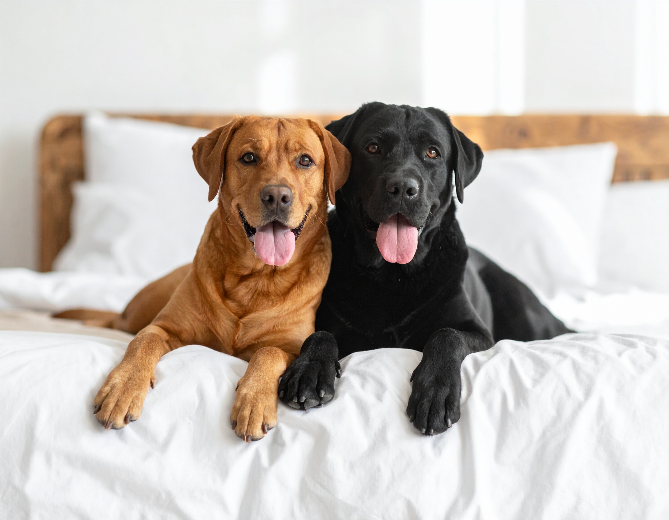 Nine (or Half Eight) Sharp