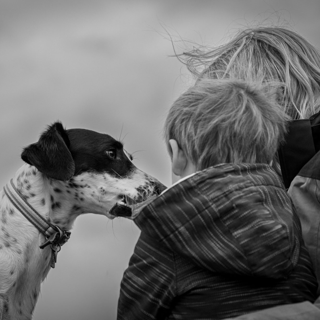 A child and a woman interact with a dog against a cloudy background.